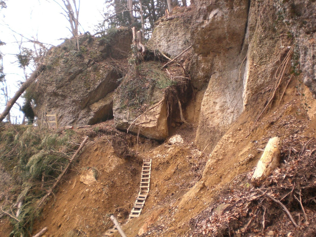 Wanderweg Haggen Neue Schanze NEU 2011 _20__jpg-1309110835