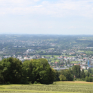 Wanderweg Haggen Neue Schanze NEU 2011 _4__jpg-1309110507