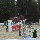SH103150.JPG