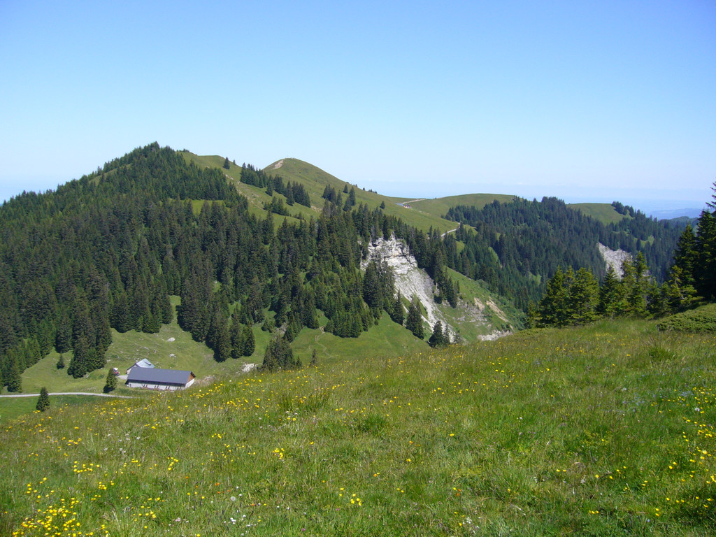 P1100994_JPG-1309118027