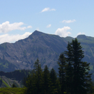P1100996_JPG-1309118076