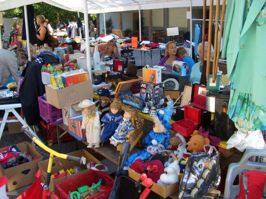 floh2_JPG-1309152128