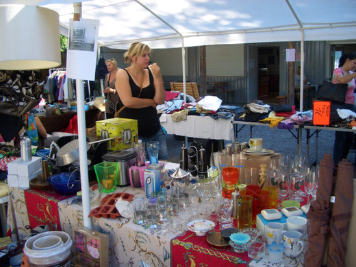 floh3_JPG-1309152177