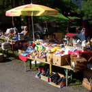 floh8_JPG-1309152446