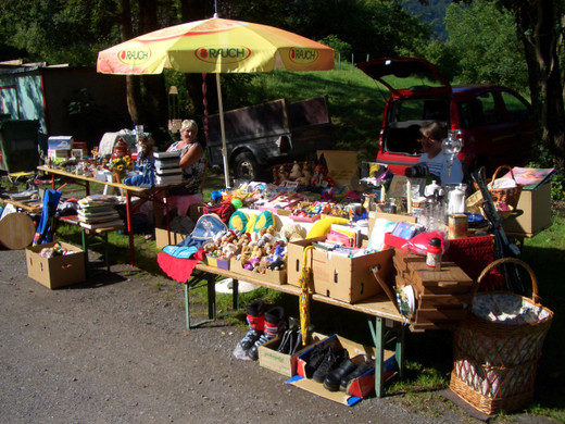 floh8_JPG-1309152446