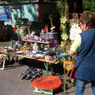 floh9_JPG-1309152507