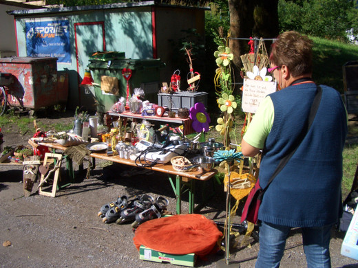 floh9_JPG-1309152507