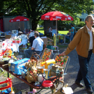 floh10_JPG-1309152558