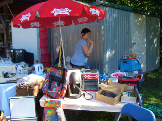 floh11_JPG-1309152606