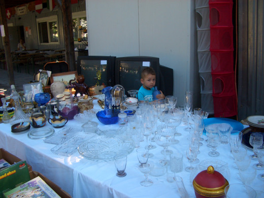 floh12_JPG-1309152649