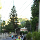 26062011fmt_rollrasenta_003.JPG