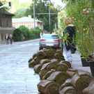 26062011fmt_rollrasenta_004.JPG