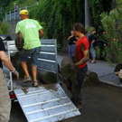 26062011fmt_rollrasenta_005.JPG
