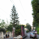 26062011fmt_rollrasenta_007.JPG