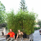 26062011fmt_rollrasenta_012.JPG