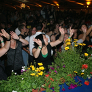 DSC04632.JPG