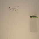 DSCN9364_JPG-1309167212