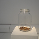 DSCN9370_JPG-1309167261