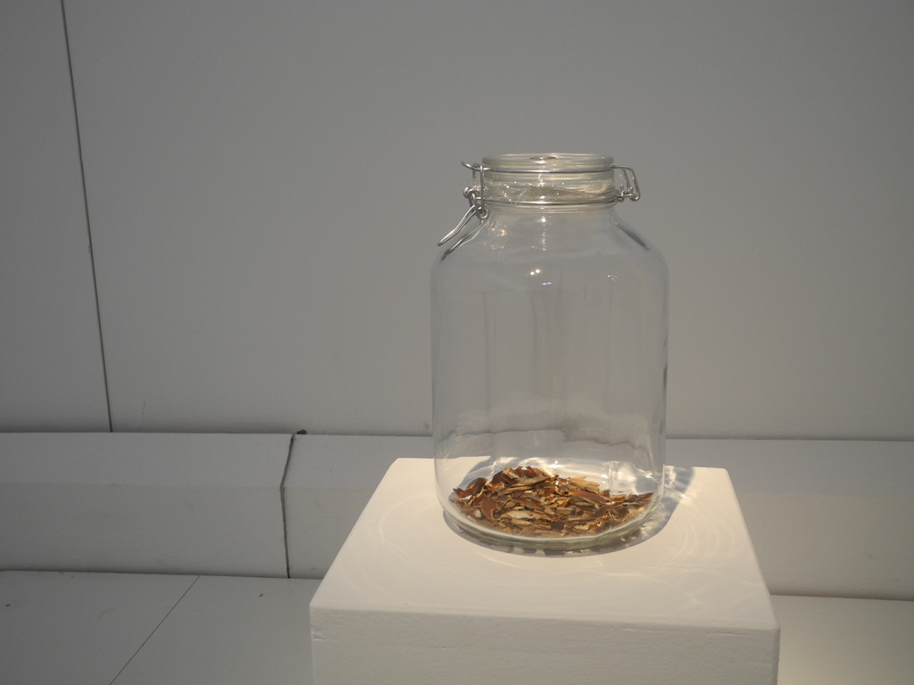 DSCN9370_JPG-1309167261