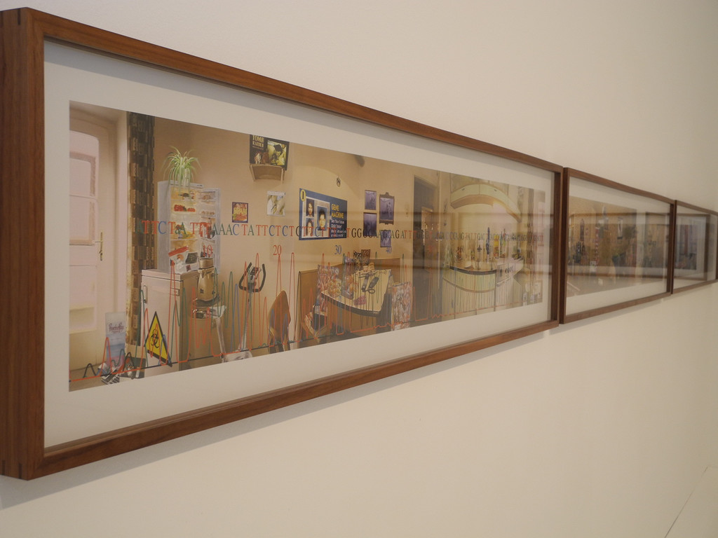 DSCN9371_JPG-1309167274