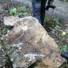 normal_25062011felsffaktivnews_04.jpg