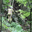 normal_25062011felsffaktivnews_14.jpg