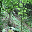 normal_25062011felsffaktivnews_19.jpg
