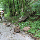 normal_25062011felsffaktivnews_25.jpg