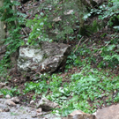 normal_25062011felsffaktivnews_32.jpg