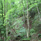 normal_25062011felsffaktivnews_35.jpg