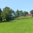 SH101750_JPG-1309178042