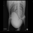 IBD0164-20110626.jpg