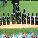 Volleyballturnier 2011 - 194_jpg-1309187506