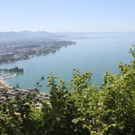 Seibl Neubau 2011 _9__jpg-1309199872