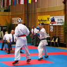IMGP9648.JPG