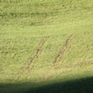 normal_27062011abstrlaktivnews_20_12_.jpg