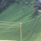 normal_27062011abstrlaktivnews_20_20_.jpg