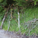 normal_27062011abstrlaktivnews_20_23_.jpg