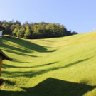 normal_27062011abstrlaktivnews_20_69_.jpg