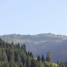 normal_27062011abstrlaktivnews_20_76_.jpg