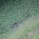 normal_27062011unkenffaktivnews_25.jpg