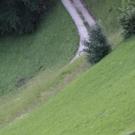 normal_27062011unkenffaktivnews_27.jpg