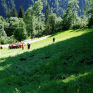 P1010107_37.jpg