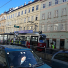 bim5.JPG