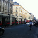 IMG_0768.JPG