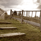 R__ckseite_jpg-1309267374