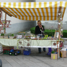 P1020056.jpg
