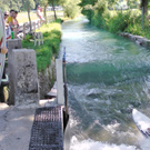 28062011wellewm2aktivnews_06.JPG