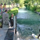 28062011wellewm2aktivnews_03.JPG