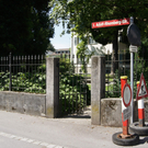 DSC00460.JPG
